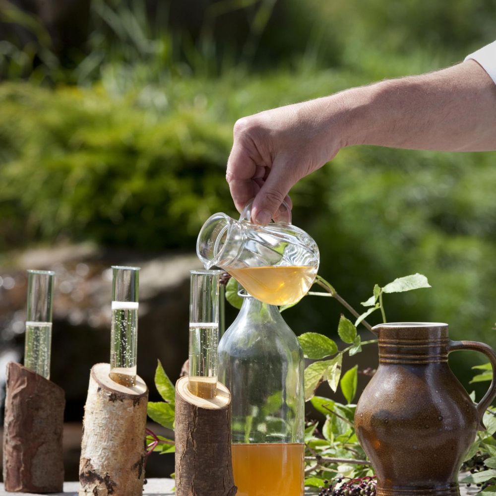 Recipe for meadowsweet syrup from the Black Forest | Wanderhotels
