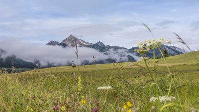 Hotel Lumberger Hof GastgeberOesterreich Austria Tirol Tannheimer Tal Graen Wanderhotel HOTEL LUMBERGER HOF  Allgaeuer Alpen 