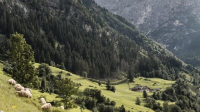 Many open huts and mountain pastures while hiking in the Pflersch Valley. The hiking hotel Aktivhotel Panorama knows them all.© Hannes NIederkofler
