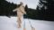 Tobogganing and winter adventures around the Chesa Monte hiking hotel.© Heldentheater