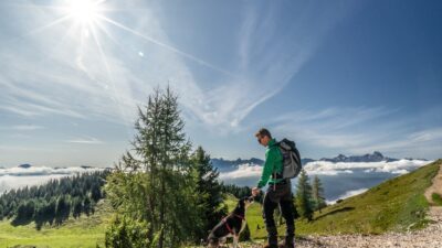 A dog-friendly hotel in Carinthia that offers hiking tours is Naturel Dorf Schönleitn.© Carolin Thiersch