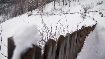 Snowshoeing on a winter holiday at the Tonzhaus hiking hotel means fun for the whole family.© Patrick Schwienbacher