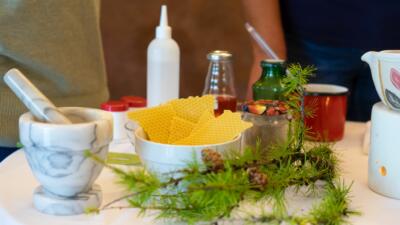 Hotel Trenker Kraeuter