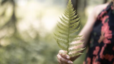 Wellness and hiking in Val Senales/Schnalstal - the Tonzhaus hiking hotel has an infinity pool.© Florian Andergassen
