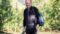 Hans, hiking guide from the Vinschgerhof hiking hotel.© Wanderhotel Vinschgerhof