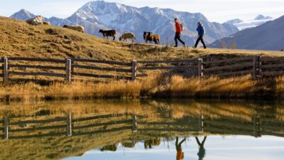 The golden autumn is probably the most beautiful time of year at the Hotel Traube Post on Lake Reschen in South Tyrol.© Federico Modica