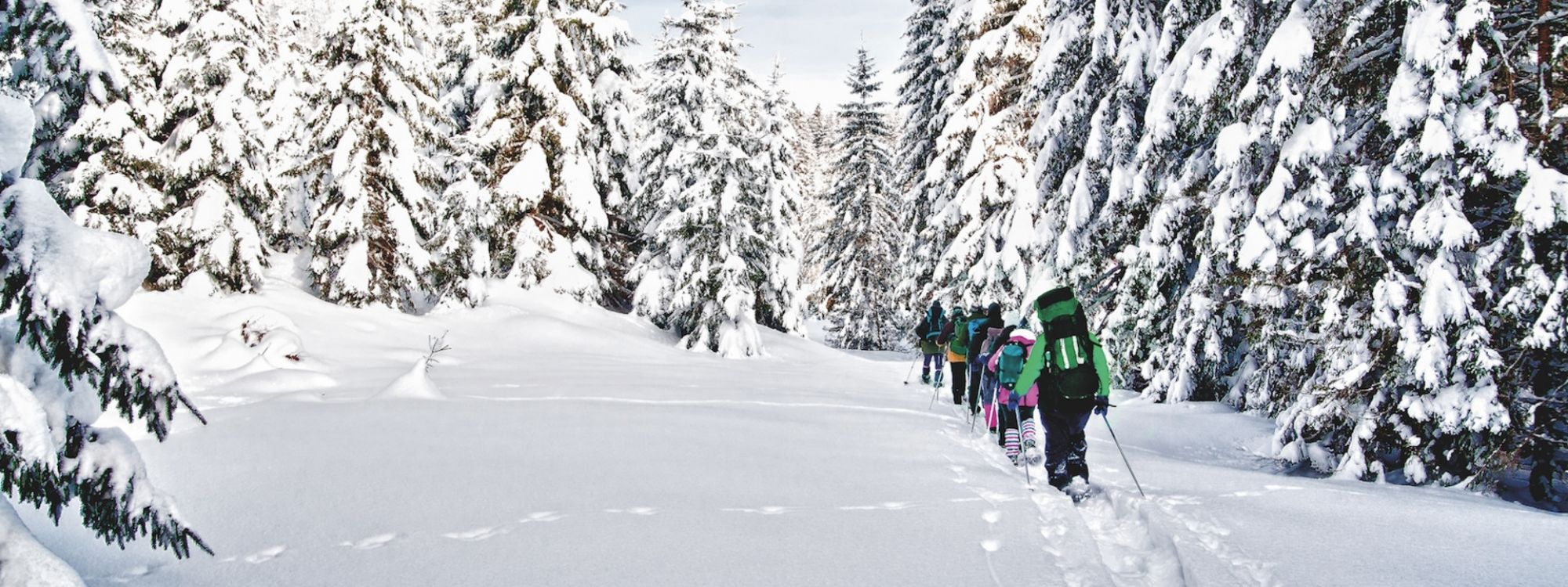 Snowshoeing for nature lovers