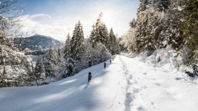 Der Pongauerhof Landschaft ©Flauchau Tourismus