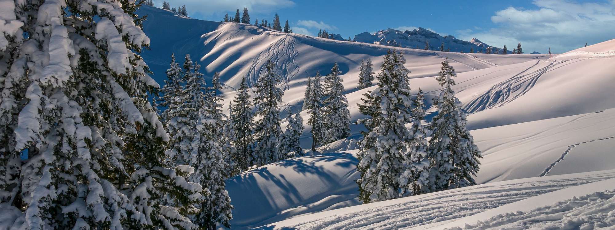 Vacanze invernali ai tempi del Corona