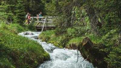 Wanderhotel Jägeralpe Natur