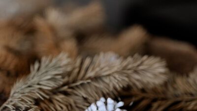 Neve, silenzio e paesaggi montani spettacolari nella Valle di Pflersch in una vacanza invernale con bambini all'hotel escursionistico Aktivhotel Panorama.© Cam Poetry