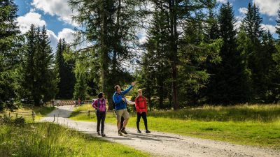 Wanderhotel Steffner-Wallner Wandertour
