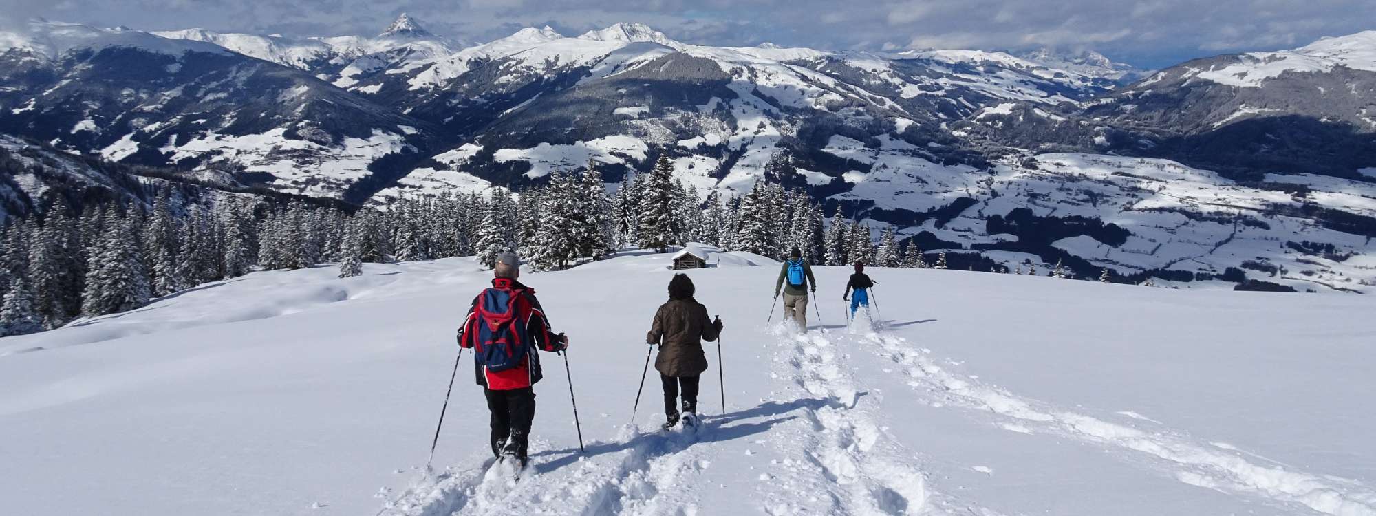 Diversità dell'inverno alpino