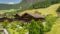 Böglerhof Alpbach ©Lorenz Masserer