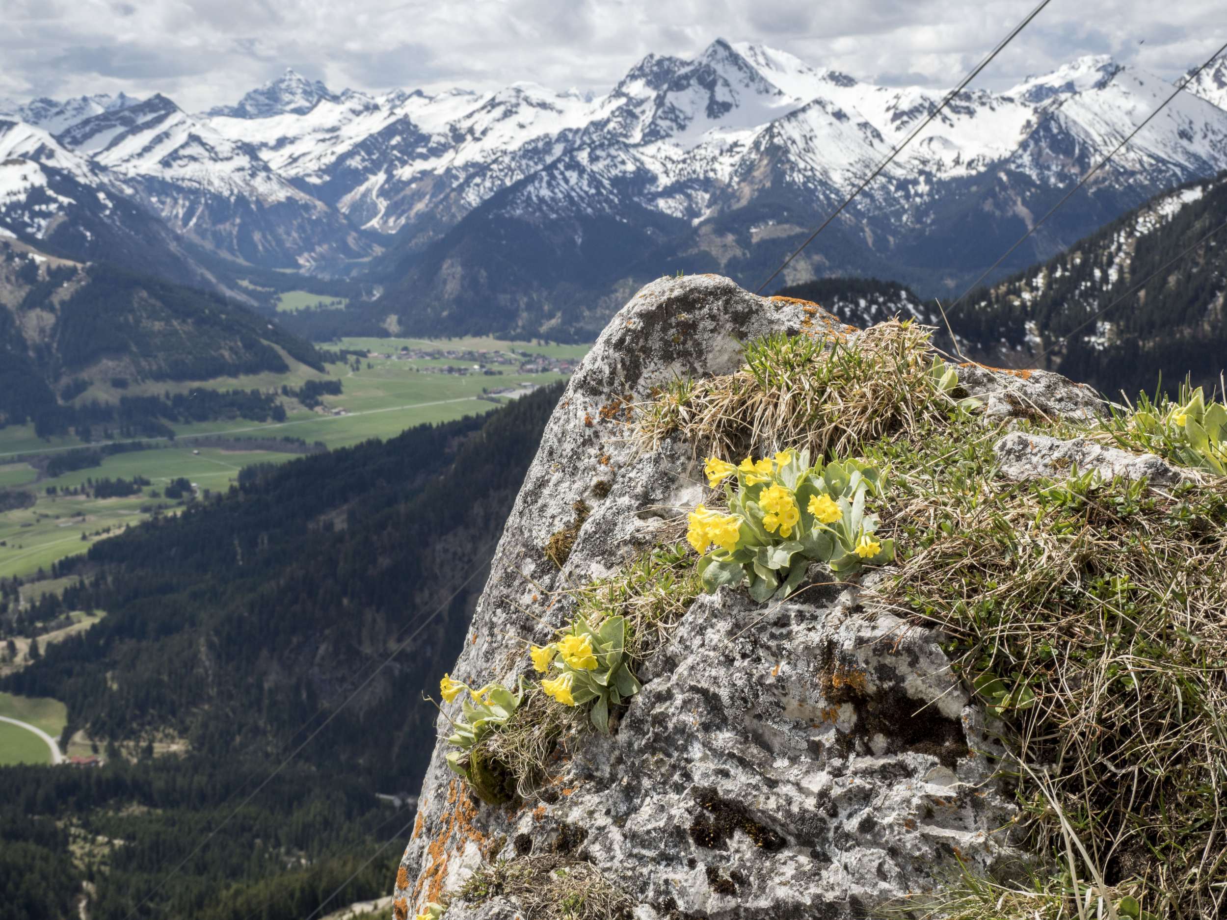 Frühlingswanderung auf den Aggenstein im Tannheimer Tal