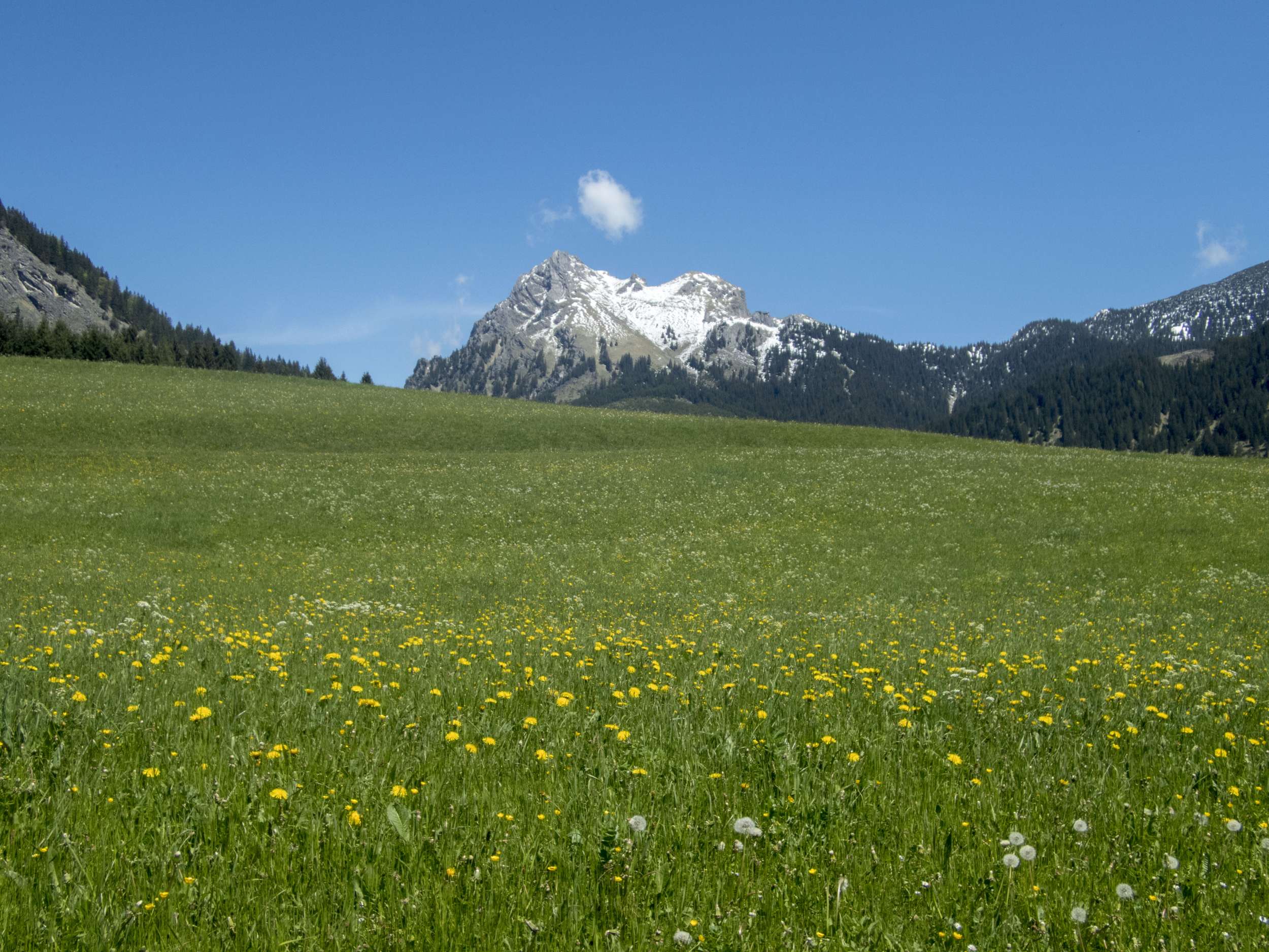 Frühlingswanderung auf den Aggenstein im Tannheimer Tal