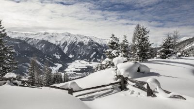 WinterWinter  WinterWinter