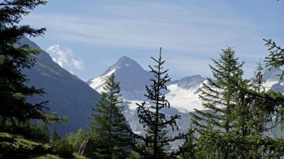 Wanderung ins ObersulzbachtalNationalpark Hohe Tauern,
Wanderung ins Obersulzbachtal
Wandehotel Gassner
Familie Gasssner
Hadergasse 167
A-5741 Neukirchen am Großvenediger
www.hotel-gassner.at Wanderung ins ObersulzbachtalNationalpark Hohe Tauern,
Wanderung ins Obersulzbachtal
Wandehotel Gassner
Familie Gasssner
Hadergasse 167
A-5741 Neukirchen am Großvenediger
www.hotel-gassner.at