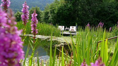 Ausspannen am idyllischen Teich.Ausspannen am idyllischen Teich. Ausspannen am idyllischen Teich.Ausspannen am idyllischen Teich.