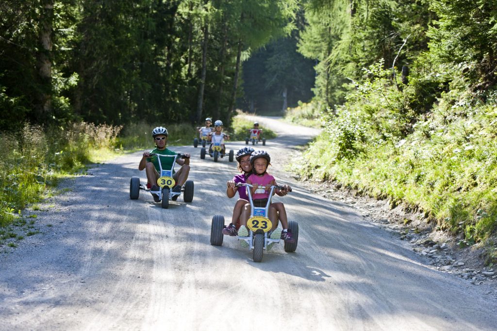 Mountain Gokart