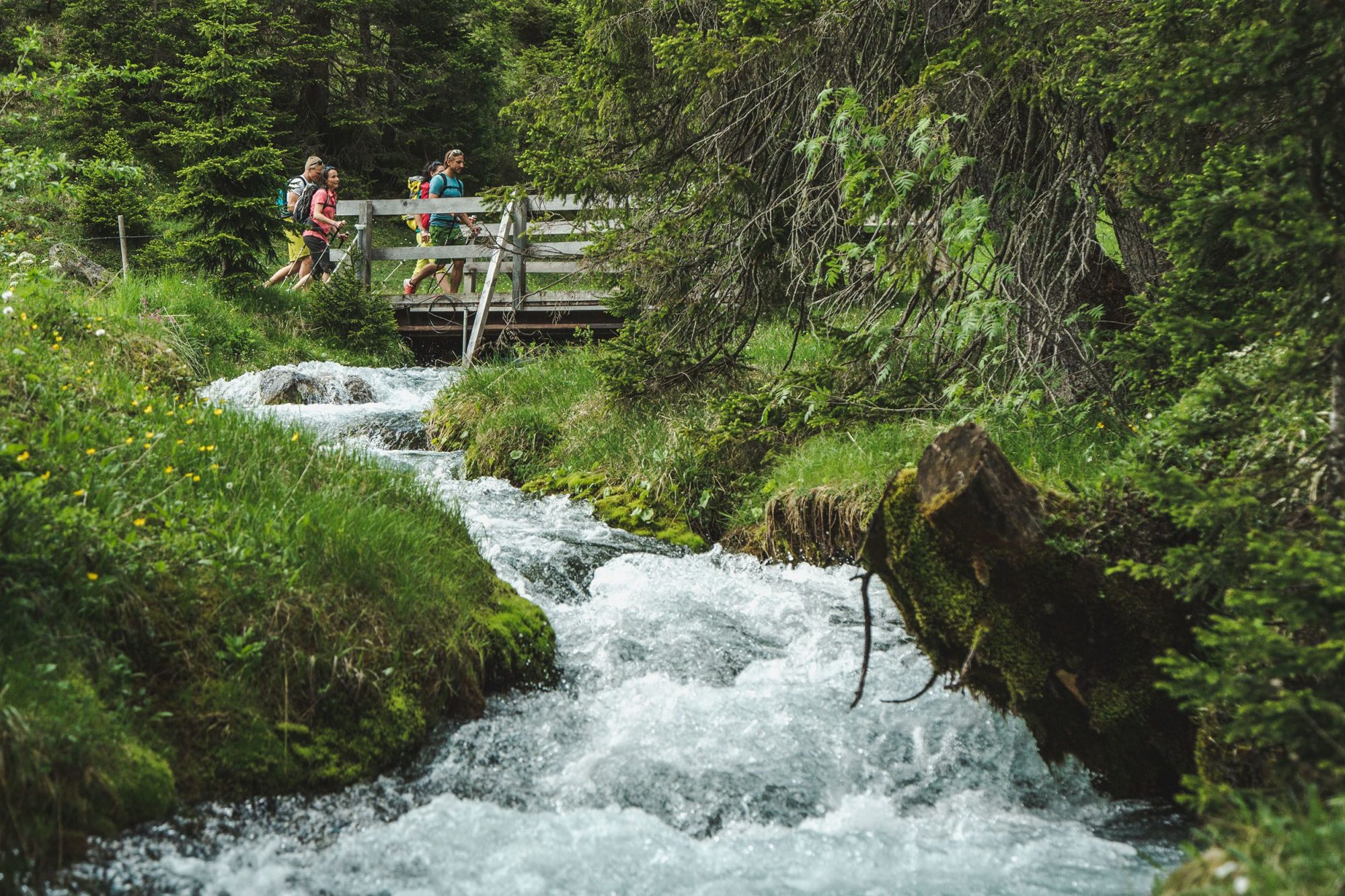 Aktiv im Sommer – Wanderwege und Touren