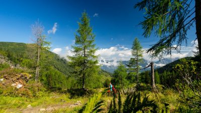 Wander- und Freizeittipps der MitarbeiterNatur- und Wellnesshotel Höflehner Steiermark, Österreich; Wander- und Freizeittipps der MitarbeiterNatur- und Wellnesshotel Höflehner Steiermark, Österreich;