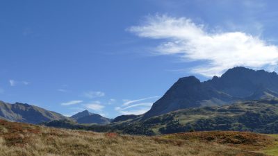 Beeren sammeln auf der AlpeWanderhotel Jägeralpe: Die Seniorchefin beim Preiselbeersammeln auf den Wiesen oberhalb des Hotels Beeren sammeln auf der AlpeWanderhotel Jägeralpe: Die Seniorchefin beim Preiselbeersammeln auf den Wiesen oberhalb des Hotels
