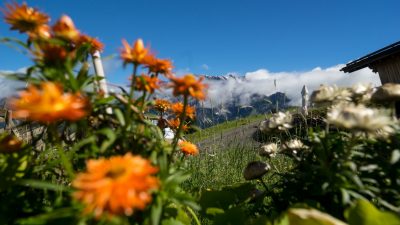 Kräuterwanderung mit Susi vom Wanderhotel Schafhuber in Maria AlmKräuterwanderung mit Susi vom Wanderhotel Schafhuber in Maria Alm - Hinterthal, Österreich Kräuterwanderung mit Susi vom Wanderhotel Schafhuber in Maria AlmKräuterwanderung mit Susi vom Wanderhotel Schafhuber in Maria Alm - Hinterthal, Österreich