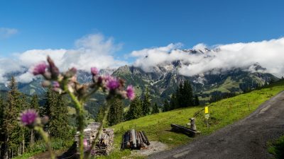 Kräuterwanderung mit Susi vom Wanderhotel Schafhuber in Maria AlmKräuterwanderung mit Susi vom Wanderhotel Schafhuber in Maria Alm - Hinterthal, Österreich Kräuterwanderung mit Susi vom Wanderhotel Schafhuber in Maria AlmKräuterwanderung mit Susi vom Wanderhotel Schafhuber in Maria Alm - Hinterthal, Österreich