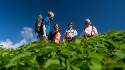 Kräuterwanderung mit SusiKräuterwanderung mit Susi vom Wanderhotel Schafhuber in Maria Alm - Hinterthal, Österreich Kräuterwanderung mit SusiKräuterwanderung mit Susi vom Wanderhotel Schafhuber in Maria Alm - Hinterthal, Österreich