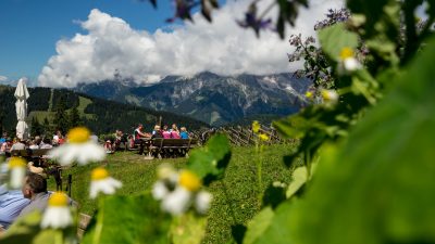 Kräuterwanderung mit SusiKräuteralm/ Kräuterwanderung mit Susi vom Wanderhotel Schafhuber in Maria Alm - Hinterthal, Österreich Kräuterwanderung mit SusiKräuteralm/ Kräuterwanderung mit Susi vom Wanderhotel Schafhuber in Maria Alm - Hinterthal, Österreich