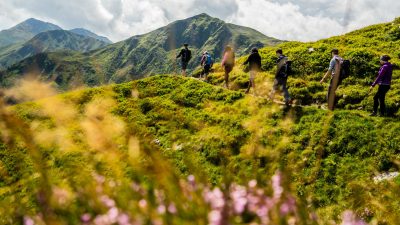 Wanderer am Zwölferkogel mit Blumen im VordergrundWandertour - Hotel Glemmtalerhof in Saalbach Hinterglemm, Österreich; Wanderhotels Wanderer am Zwölferkogel mit Blumen im VordergrundWandertour - Hotel Glemmtalerhof in Saalbach Hinterglemm, Österreich; Wanderhotels