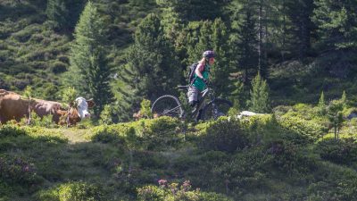 Italien Suetirol Trentino Alto Adige Pustertal Ahrntal Sand in Taufers Campo Tures Wander- und Wellnesshotel Drumlerhof E-Bike Mountainbike Italien Suetirol Trentino Alto Adige Pustertal Ahrntal Sand in Taufers Campo Tures Wander- und Wellnesshotel Drumlerhof E-Bike Mountainbike