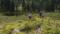 Italien Suetirol Trentino Alto Adige Pustertal Ahrntal Sand in Taufers Campo Tures Wander- und Wellnesshotel Drumlerhof Speikboden Wandern