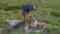 Italien Suetirol Trentino Alto Adige Pustertal Ahrntal Sand in Taufers Campo Tures Wander- und Wellnesshotel Drumlerhof Speikboden Picknick