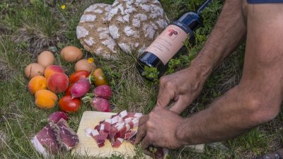 Italien Suetirol Trentino Alto Adige Pustertal Ahrntal Sand in Taufers Campo Tures Wander- und Wellnesshotel Drumlerhof Speikboden Picknick