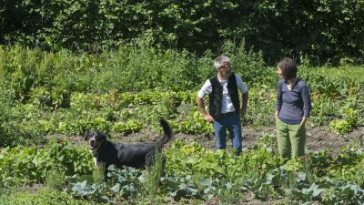 Felderhof im AhrntalItalien Suetirol Trentino Alto Adige Pustertal Ahrntal Sand in Taufers Campo Tures Wander- und Wellnesshotel Drumlerhof Biogarten Bio