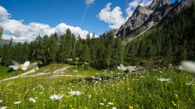 Wanderung zu den RotwandköpfenWanderung zu den Rotwandköpfen Wanderung zu den RotwandköpfenWanderung zu den Rotwandköpfen