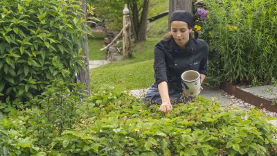 Kräuter- und Gemüsegarten des Hotels © Udo BernhartItalien Suetirol Trentino Alto Adige Eisaktal Luesen Wander- und Naturhotel Luesnerhof Garten Gemuesegarten Kräuter- und Gemüsegarten des Hotels © Udo BernhartItalien Suetirol Trentino Alto Adige Eisaktal Luesen Wander- und Naturhotel Luesnerhof Garten Gemuesegarten