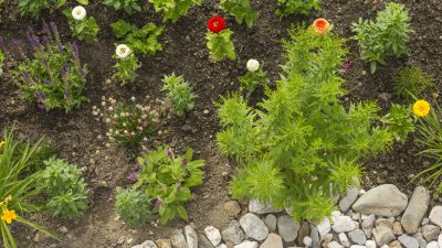 Kräuter- und Gemüsegarten des Hotels © Udo BernhartItalien Suetirol Trentino Alto Adige Eisaktal Luesen Wander- und Naturhotel Luesnerhof Kräuter- und Gemüsegarten des Hotels © Udo BernhartItalien Suetirol Trentino Alto Adige Eisaktal Luesen Wander- und Naturhotel Luesnerhof