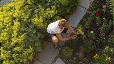 Kräuter- und Gemüsegarten des Hotels © Udo BernhartItalien Suetirol Trentino Alto Adige Eisaktal Luesen Wander- und Naturhotel Luesnerhof Garten Gemuesegarten Garten
