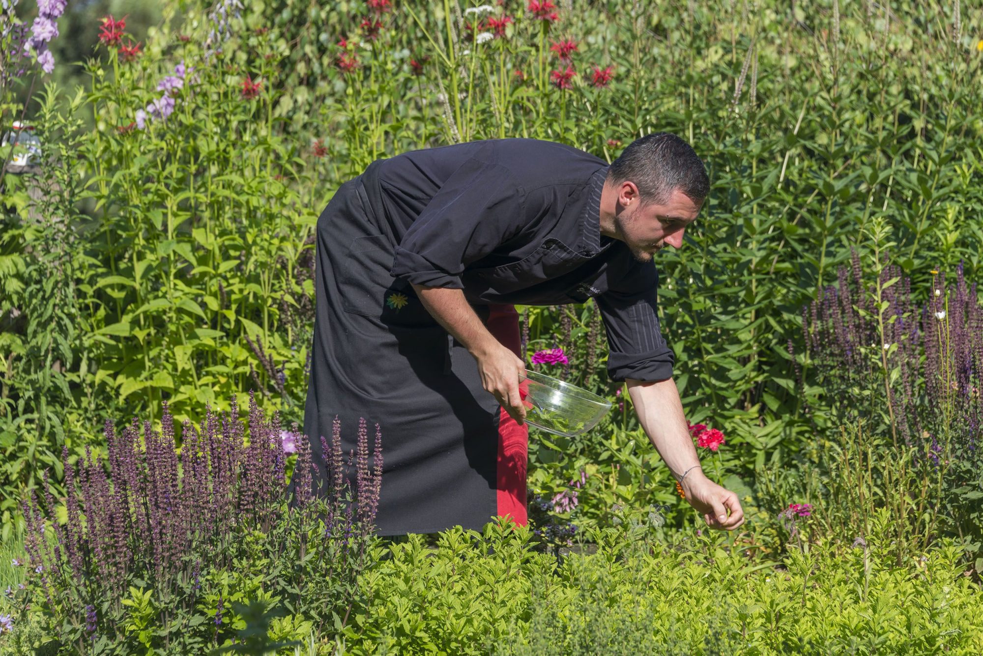 Ökologisch, regional und mediterran – so kocht der Küchenchef