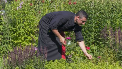 Küche im Lüsenerhof @ Udo BernhartItalien Suetirol Trentino Alto Adige Eisaktal Luesen Wander- und Naturhotel Luesnerhof Garten Gemuesegarten Garten Kuechenchef