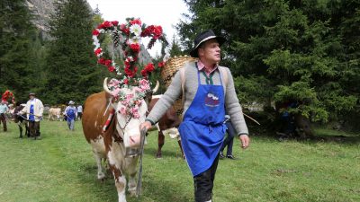 Almabtrieb in Wolkenstein © Stefan HerbkeHotel Interski: Almabtrieb in Wolkenstein Almabtrieb in Wolkenstein © Stefan HerbkeHotel Interski: Almabtrieb in Wolkenstein
