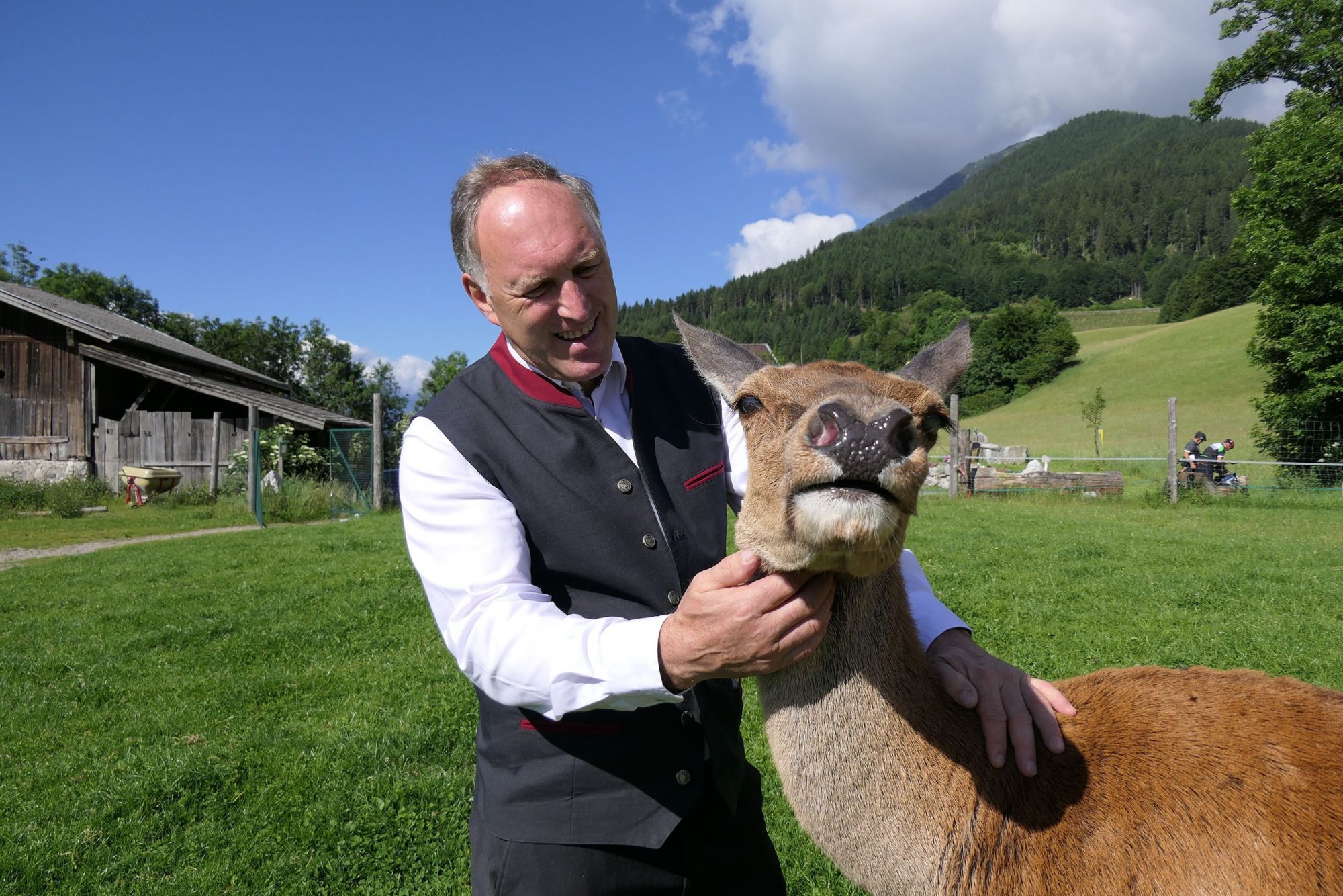 Die Hirsche sind los