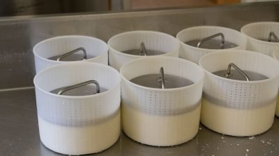 Käse in seinen Formen Käse in seinen Formen