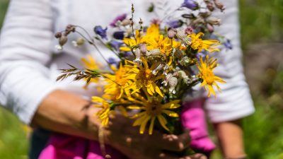 Ein bunter Blumenstrauß
