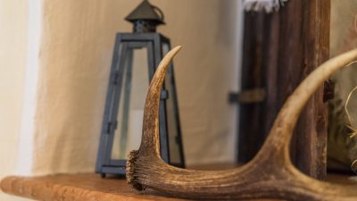 Sauna- & Wellnessbereich Sauna- & Wellnessbereich