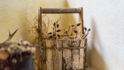 Sauna- & Wellnessbereich Sauna- & Wellnessbereich