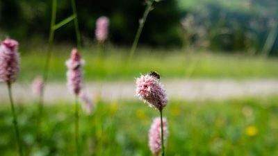 Wanderung rund um den Prebersee